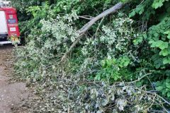 #114 06.07.2022r. Choczewo ul. Jeziorna - drzewo powalone na drogę gminną