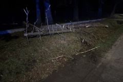 eRemiza_1119084_69458c23d4da763bc8cc0228.XHp_.8