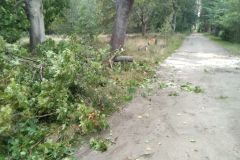 eRemiza_1119084_5f869dd91ecc5002f8594e39.gMV_.8