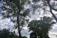 eRemiza_1119084_62c9a3e3d4da764a105b922a.1A9h.8