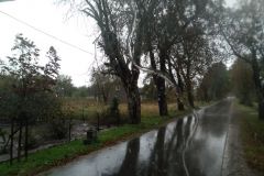 eRemiza_1119084_5f86d0f11ecc5002f85951bc.cVO_.8