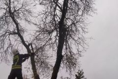 eRemiza_1119084_65338ef0d4da764094cfc6b8.sx3_.8