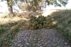 eRemiza_1119084_5f8adac61ecc5031dcd6cb6e.ySb_.8