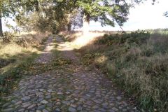 eRemiza_1119084_5f8adaee1ecc5031dcd6cb75.xx0_.8