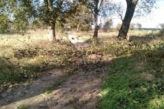 eRemiza_1119084_5f8adbbb1ecc5031dcd6cb7d.16bV.8