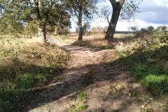 eRemiza_1119084_5f8add941ecc5031dcd6cb93.z8O.8