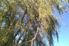 eRemiza_1119084_5f91625e1ecc503d783a892c.3jvN.8