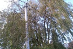 eRemiza_1119084_5f9166091ecc503d783a895e.15wq.8