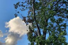eRemiza_1119084_62e025ffd4da765c70865008.vz1_.8