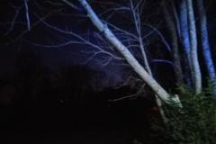 eRemiza_1119084_5e4ac4fd1ecc500df0ea201c.Dgx_.8