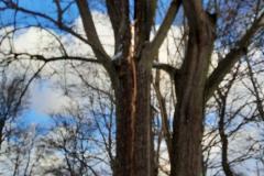 eRemiza_1119084_61e92e761ecc502dc04082bb.Xg1_.8