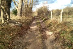 eRemiza_1119084_5fb7af3b1ecc501978acd15b.xZ8_.8