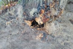 eRemiza_1119084_5fbfa7151ecc502bc8323add.eKc_.8