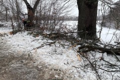 eRemiza_1119084_6782d42ad4da761c4c0a1d42.11Wx.8