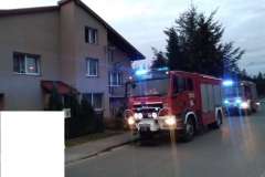 eRemiza_1119084_6303c76fd4da763534754ecd.MDB.8