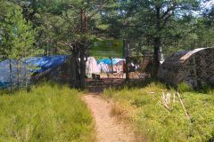 IMG-20190715-WA0007
