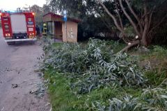 #152 12.09.2022r.  Zwartówko - drzewo powalone na linię energetyczną niskiego napięcia przy przystanku autobusowym