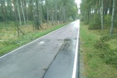 #153 20.09.2022r.  droga Osieki Lęborskie - Lubiatowo  - drzewo powalone na jezdni drogi powiatowej nr DP 1429G