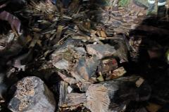 eRemiza_1119084_636d703ed4da761b50b83d1d.hQX_.8
