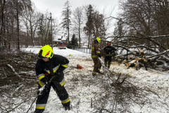 #16 11.01.2025r. Choczewo ul. Modrzewiowa - drzewo powalone na drogę gminną i linię energetyczną