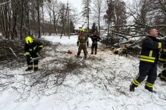 eRemiza_1119084_6782d3dbd4da761c4c0a1d0e.17B0.8