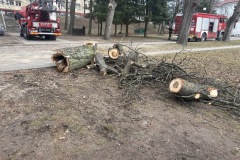 eRemiza_1119084_69b15174d4da761dac9590ec.1KqZ.8