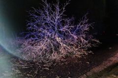 eRemiza_1119084_61f59b7c1ecc5019f00b18e6.kXX_.8