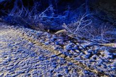 #162 09.12.2022r. Żelazno - drzewo powalone na drogę wojewódzką nr DW213
