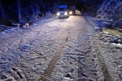 #163 09.12.2022r. Zwartowo - powalone drzewo na drogę powiatową nr DP 1336G