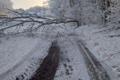 #164 09.12.2022r. Łętowo - drzewo powalone na drogę gminną
