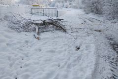 eRemiza_1119084_6392ed2bd4da760308b1fc59.i16.8
