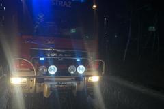eRemiza_1119084_65c2a4dbd4da7624941c1383.JR1_.8