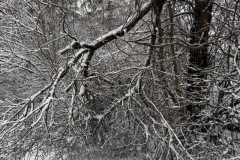 eRemiza_1119084_6782d70cd4da761c4c0a1dd3.20CO.8