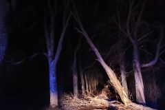 eRemiza_1119084_61f5c4421ecc50331425911a.PND_.8