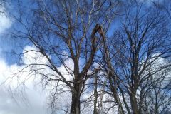 eRemiza_1119084_5e68e8641ecc505c787e1396.11Qx.8