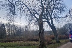 eRemiza_1119084_65e18fa2d4da762ffcac5294.1HPV.8