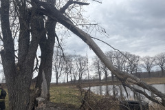 #23 25.03.2026r. Gościęcino - powalony konar drzewa na palcu zabaw
