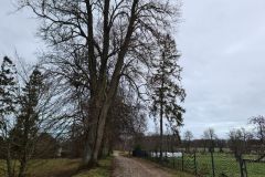 eRemiza_1119084_61f67a181ecc50331425abc6.z87.8