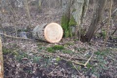 eRemiza_1119084_5e6a501c1ecc501e085c074b.12iU.8