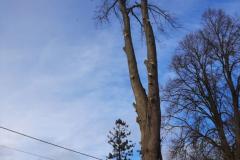 eRemiza_1119084_61f7d91f1ecc5023641724ac.U6h.8