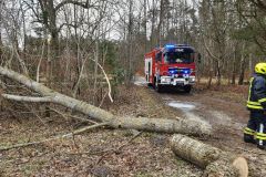 eRemiza_1119084_61f902bd1ecc5005488a051e.1XAa.8