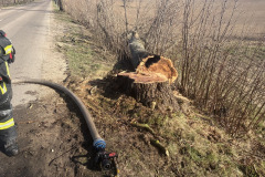 #26 01.04.2026r.  Żelazno - pożar drzewa