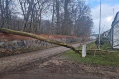eRemiza_1119084_65f58a58d4da762aa01a4599.19T8.8