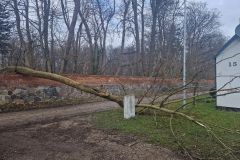 eRemiza_1119084_65f58aa9d4da762aa01a45b2.1FTt.8