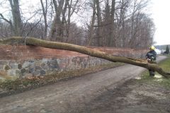 eRemiza_1119084_65f58bb8d4da762aa01a45f3.nbV_.8