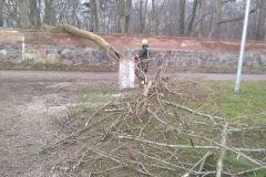 eRemiza_1119084_65f58bcbd4da762aa01a45fc.w5g.8