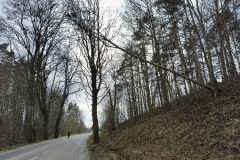 eRemiza_1119084_69d246b0d4da763a6405f02c.2LxX.8