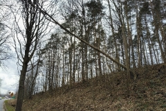 eRemiza_1119084_69d246c3d4da763a6405f036.2OYh.8