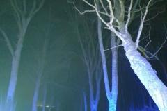 eRemiza_1119084_5e6a854c1ecc501e085c0be0.Rld_.8