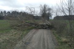 eRemiza_1119084_5e6b46c81ecc501e085c195d.d6c.8
